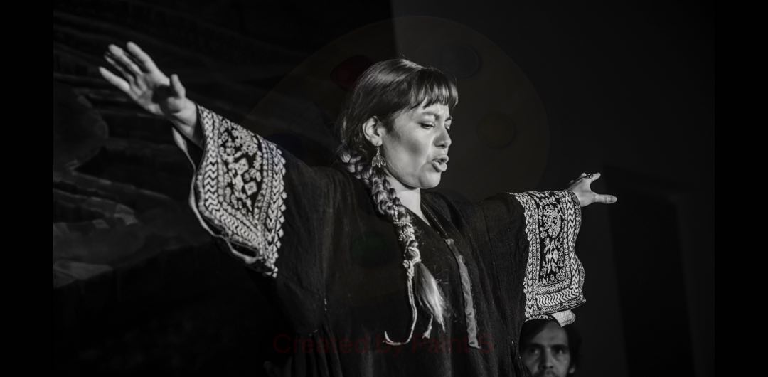 Tania Castro Las Críticas